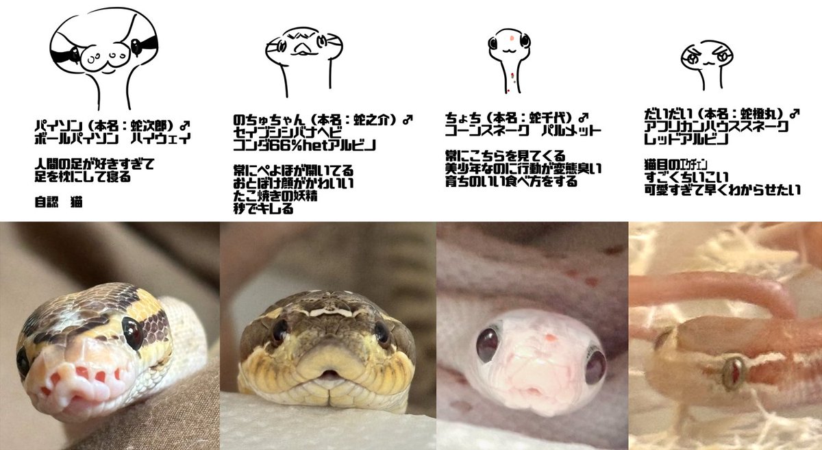 のちゅ tweet media