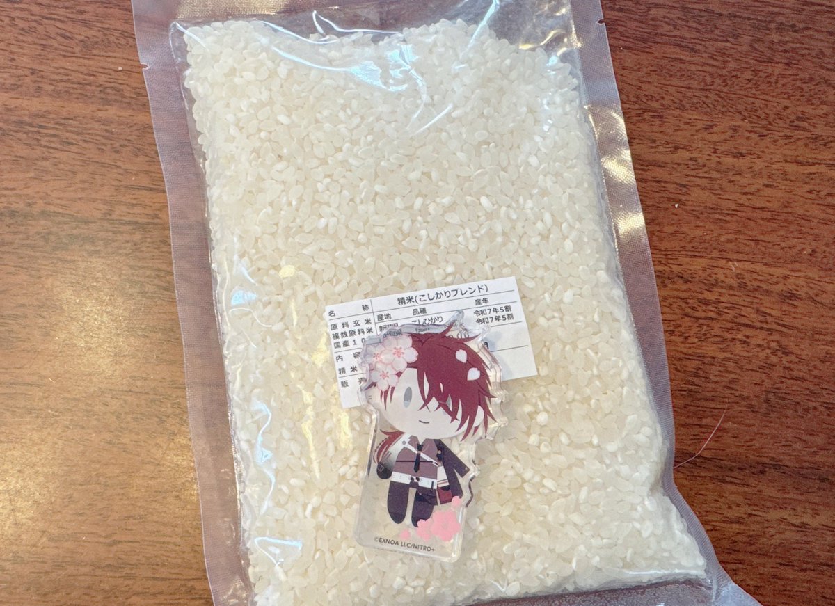 東風/春待ち tweet media