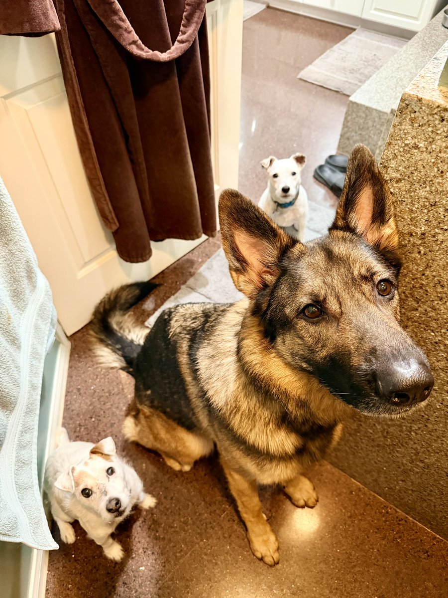 Irene M. Johnson tweet media