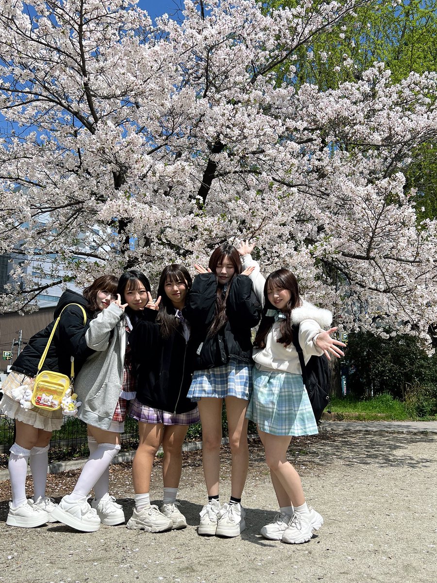 あいらしっく tweet media