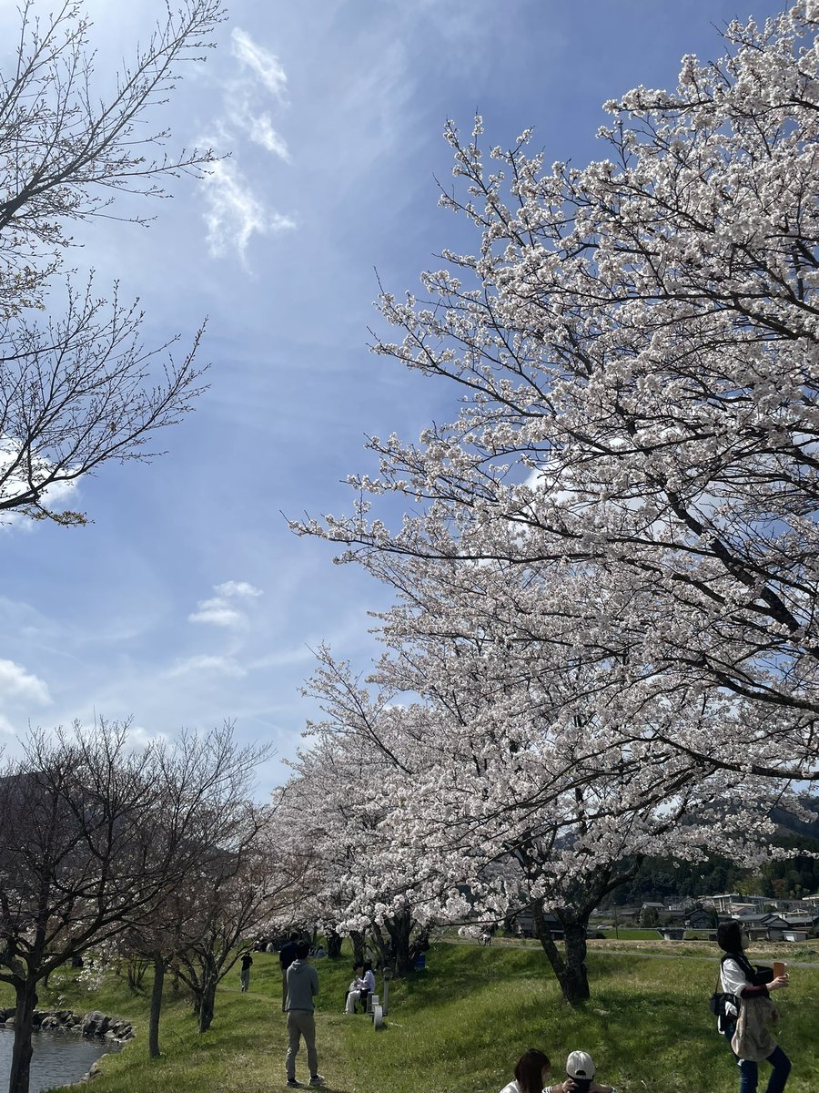 tk23d's tweet photo. 最高の花見日和
この時期にしか味わえない至福のひと時
#桜 https://t.co/GiGgX5Srzr