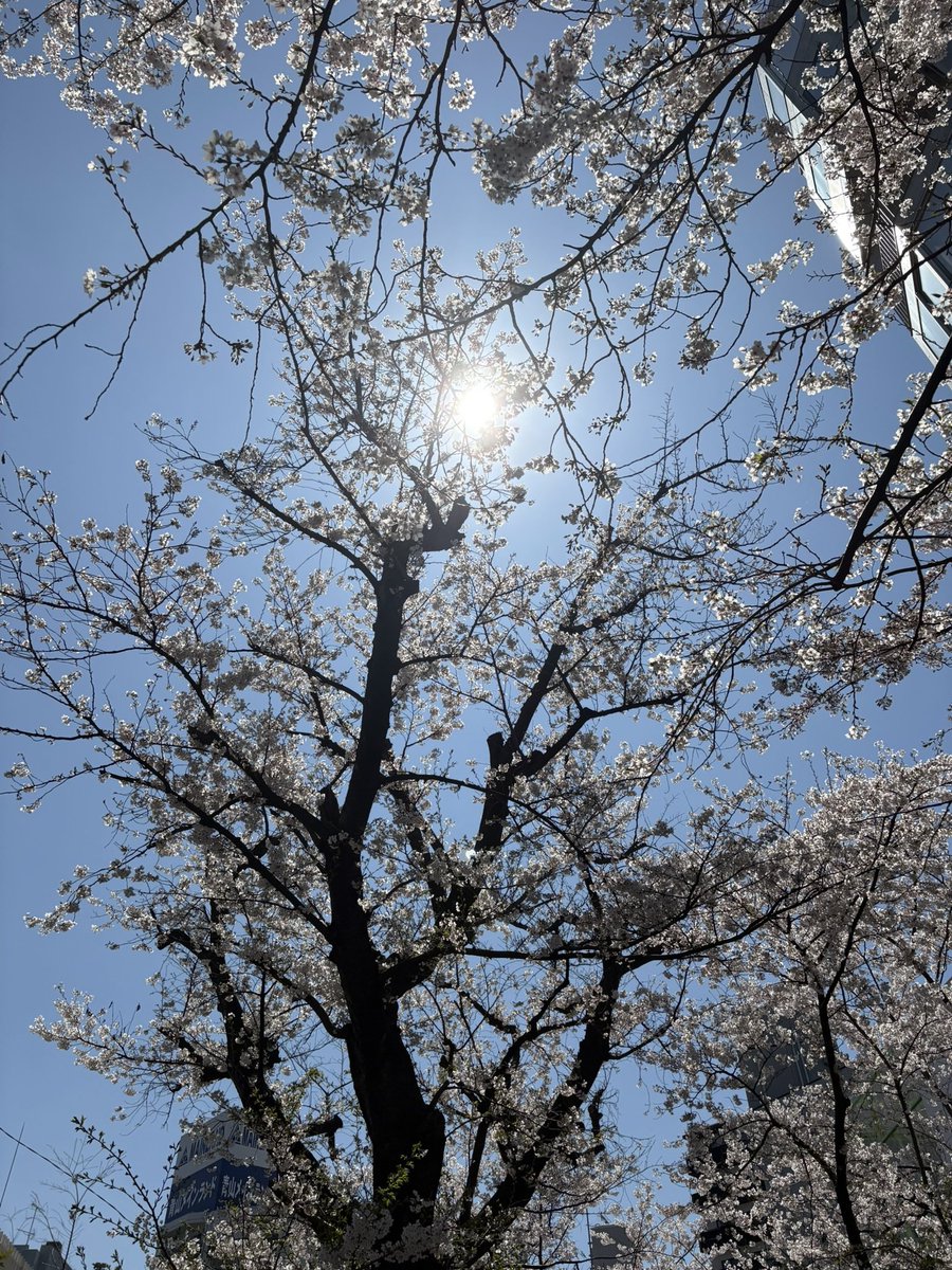 裏スタ( 'ㅅ')🍊 tweet media