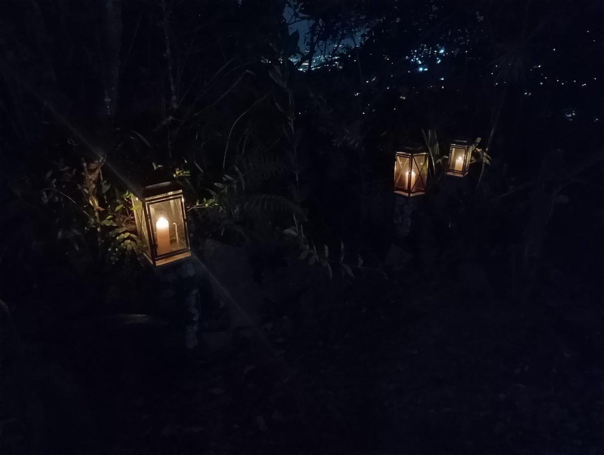 Juancho Sinisterra 🇨🇴 tweet media