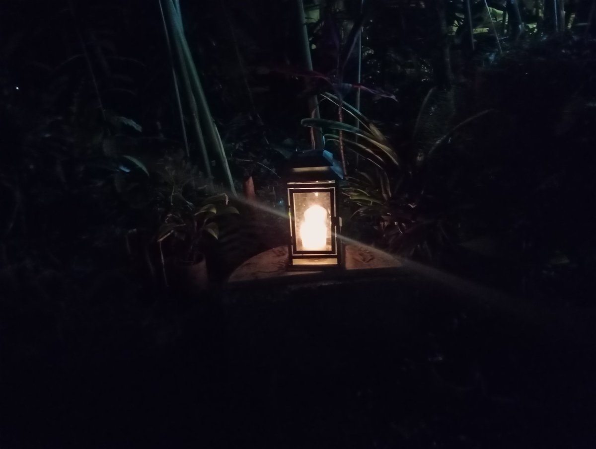 Juancho Sinisterra 🇨🇴 tweet media