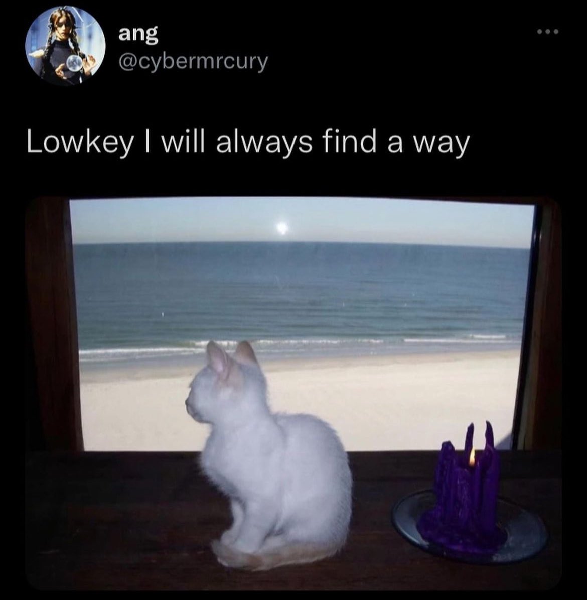 Starlight 💛 tweet media