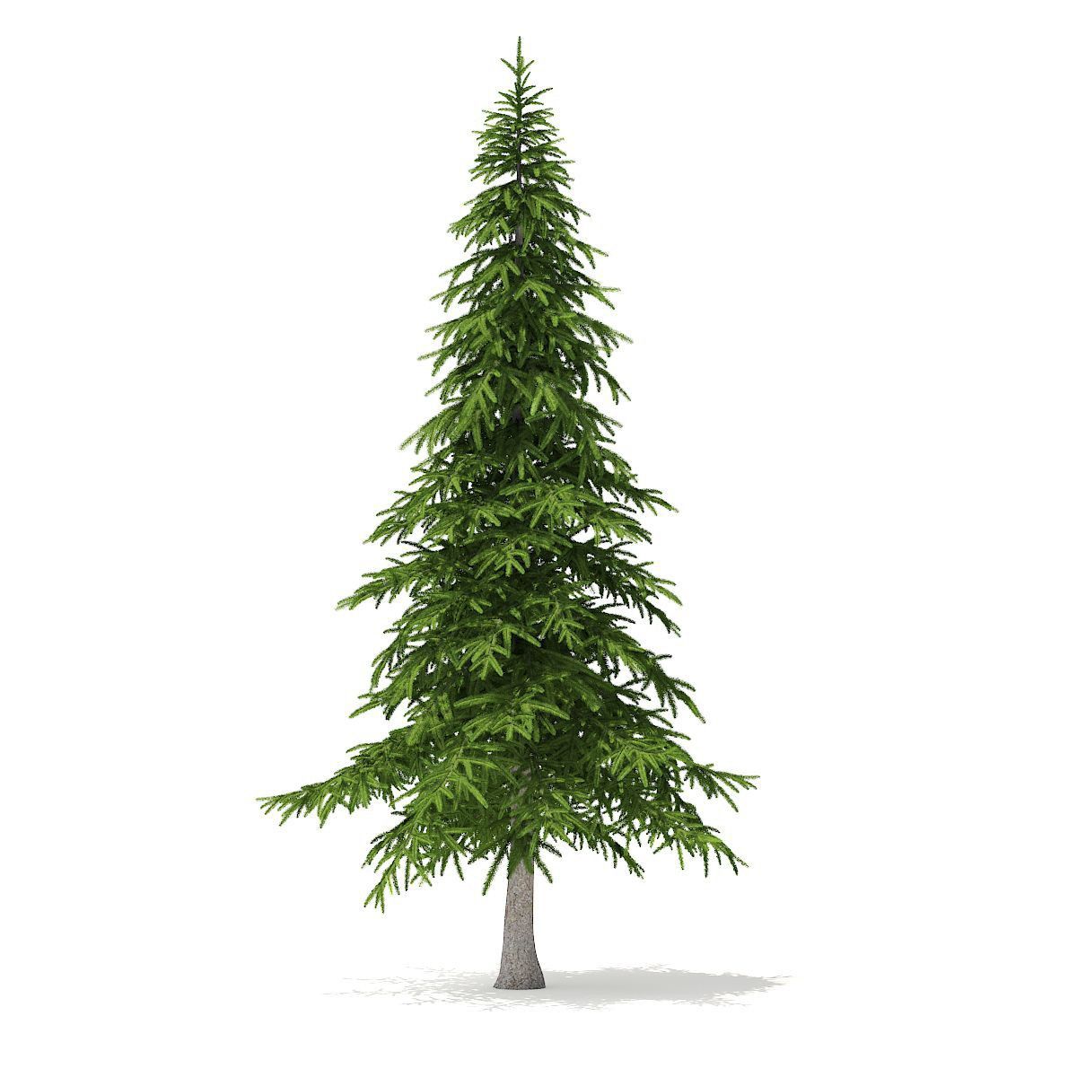 tree (@treedotfun) / Posts / X