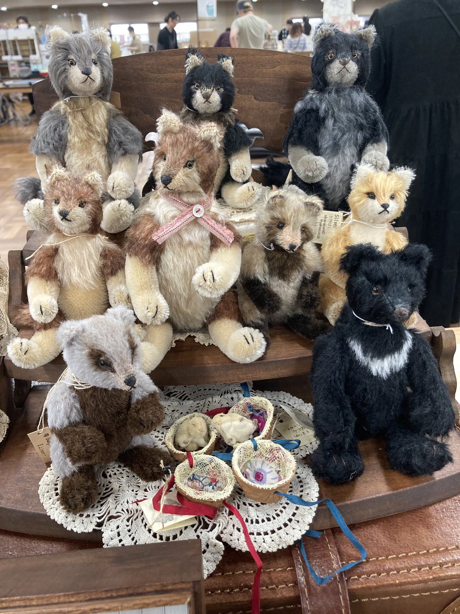 お家決まった子もいますが
みんなでお待ちしています♪