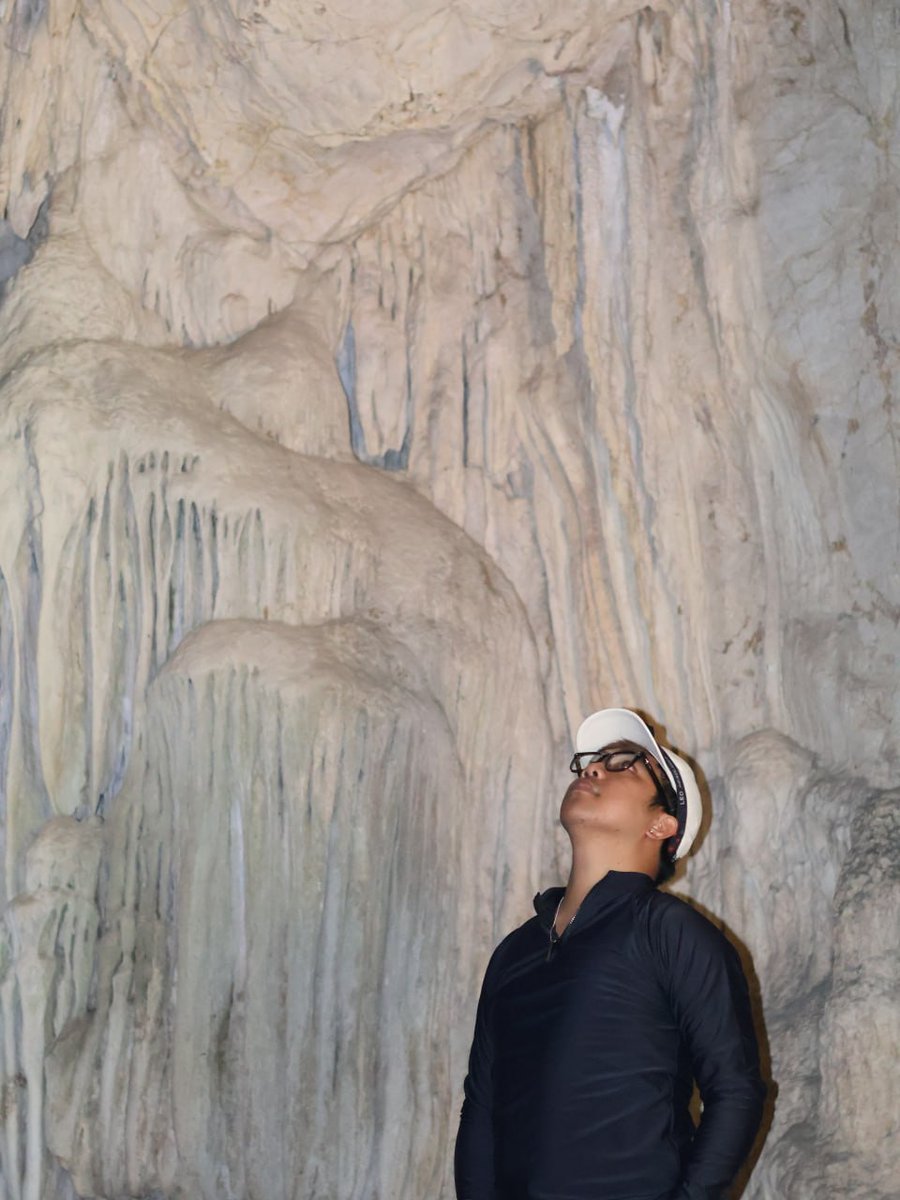 Windel 🐻 tweet media