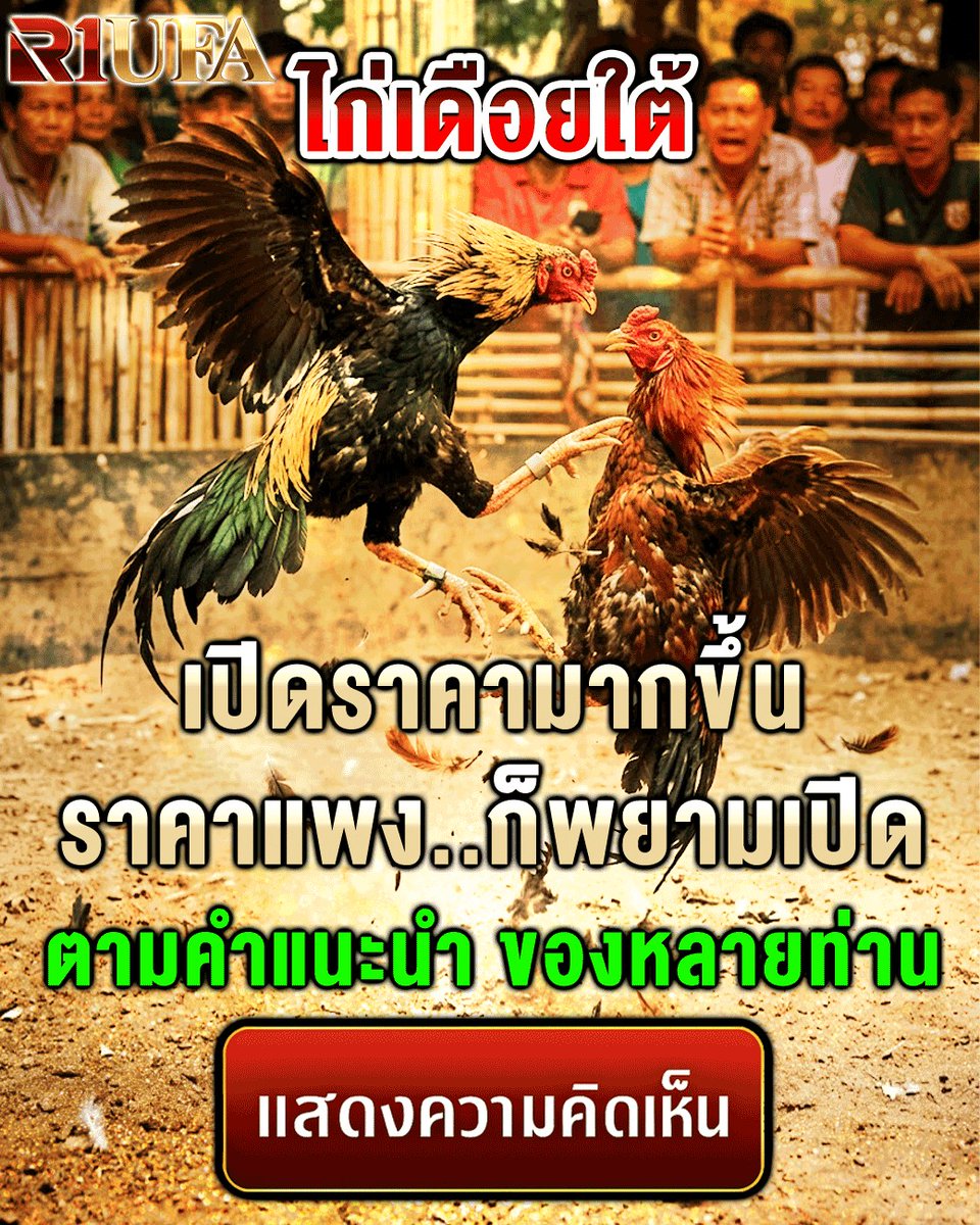 ununder77's tweet photo. โปรแกรมไก่เดือยใต้ วันนี้ 05/04/69

เข้ากลุ่มถาวร ดูไลฟ์สดในกลุ่มฟรี รับเสื้อไก่ชนฟรี ฝากถอนไม่มีขั้นต่ำ จัดกิจกรรมทายผลลุ้นรับเครดิตฟรีทุกวัน
สอบถาม👉https://t.co/aqVc7R716h
หsืolloด🆔LINE : @CU11 

#ไก่ชนออนไลน์ #แจกเครดิตฟรี DUANG WITH YOU EP10 #56ปีCh3LandDomDDay #กระแสวันนี้ https://t.co/30r1K1m6nz