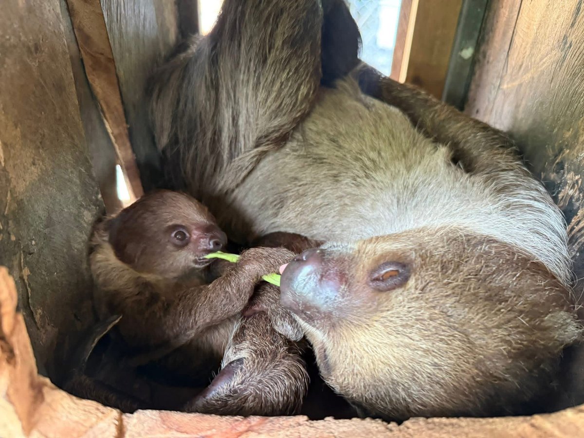 Khamoo.andthegang tweet media