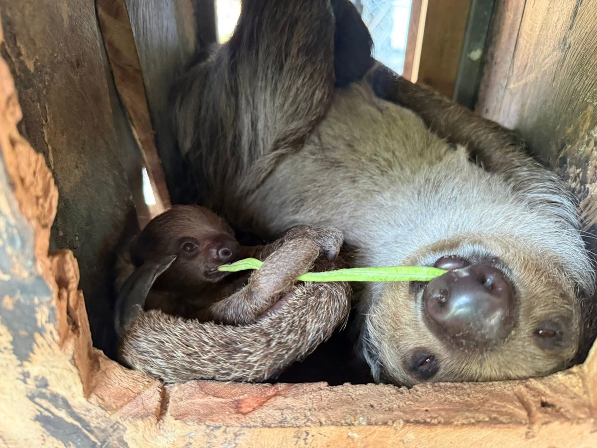 Khamoo.andthegang tweet media