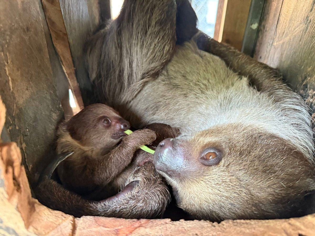 Khamoo.andthegang tweet media