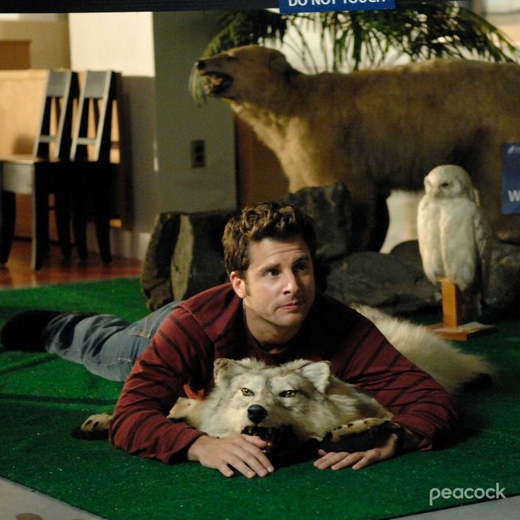 outofcontextpsy's tweet photo. Happy 50th Birthday to James Roday Rodriguez!!! I truly cannot imagine this show without his talent, wit, writing, creativity, and his chemistry with the rest of the cast, and it would absolutely not even be half the show it is if he wasn’t our Shawn. https://t.co/qziMP5iHtZ