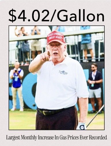 Suzie rizzio tweet media