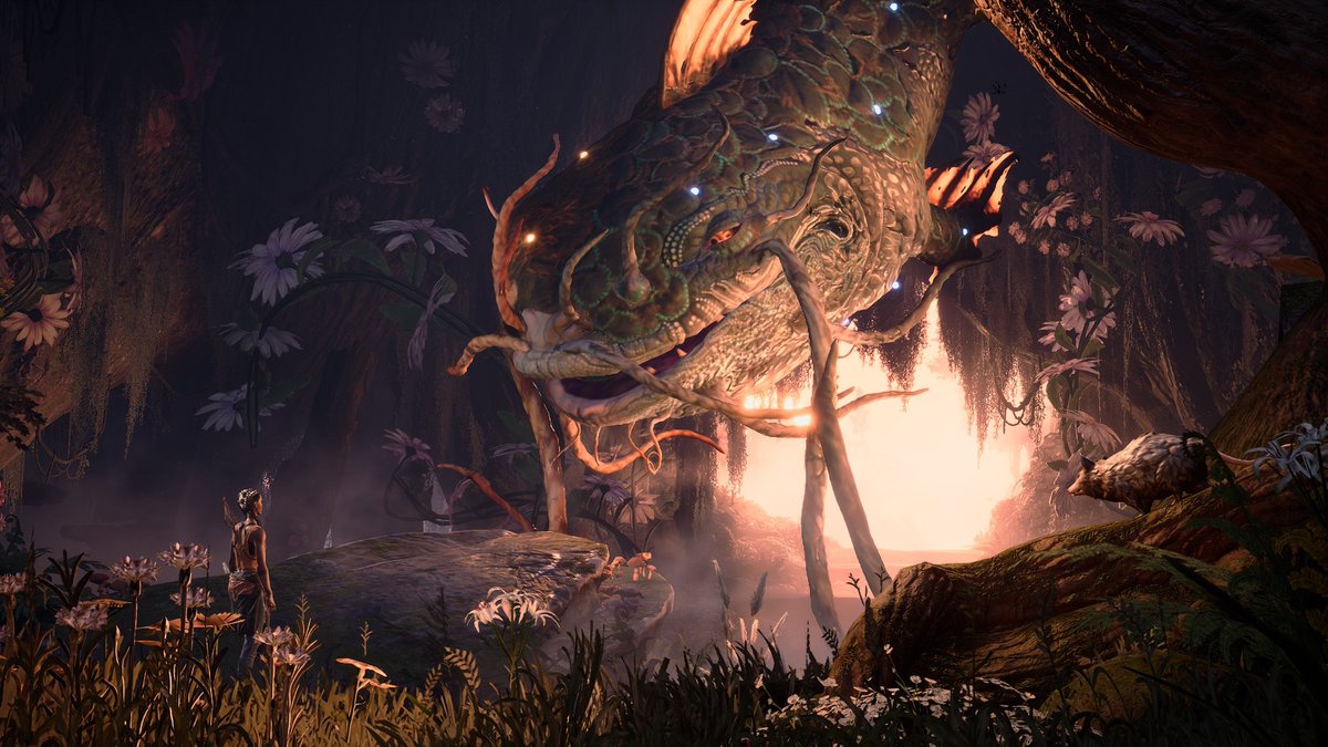 Tchello° tweet media