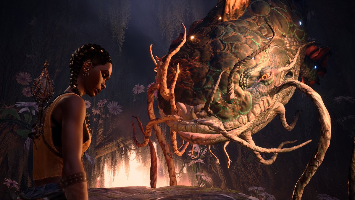 Tchello° tweet media