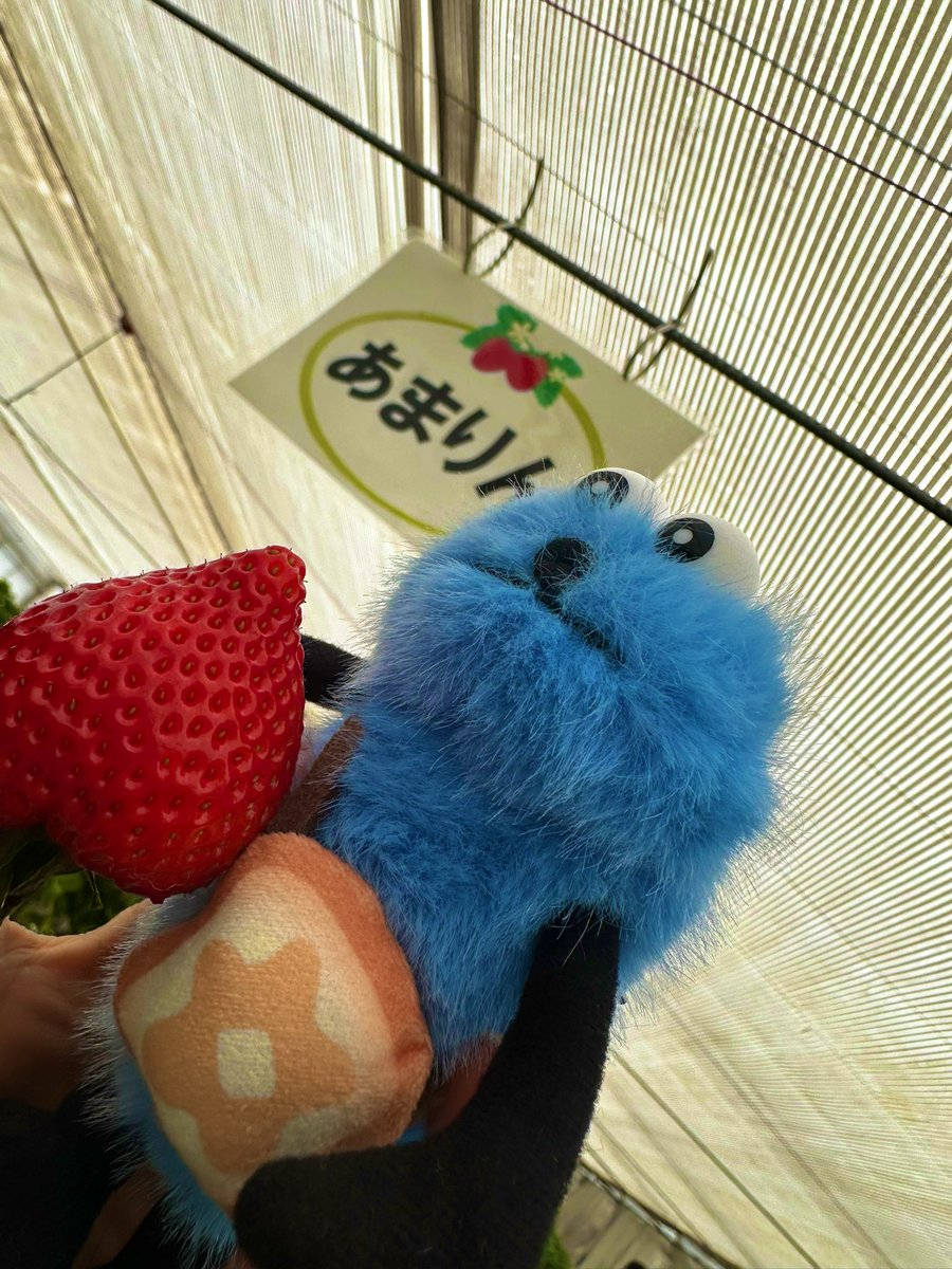 Sunすん🍞 tweet media