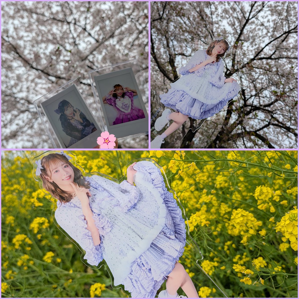 よっぴー(yoppi)💜🧸☪️ tweet media