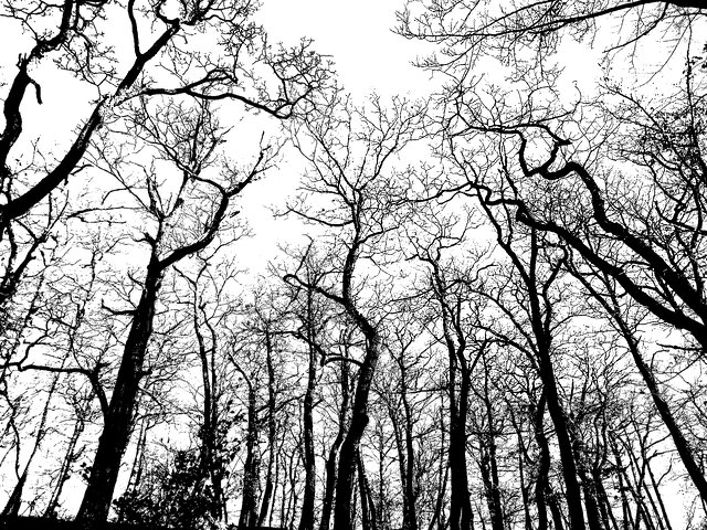 Gavin Lee tweet media