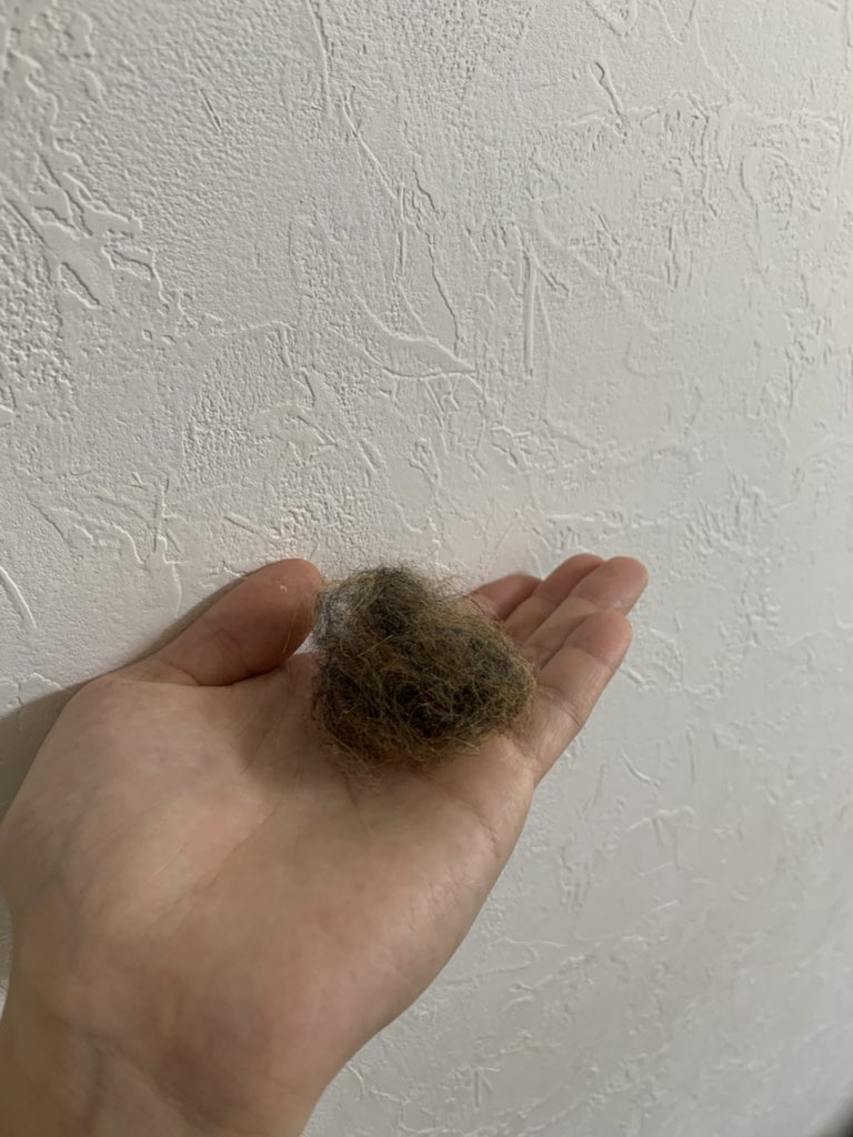 兎蛙梟(とみださら)/ラトの主 tweet media