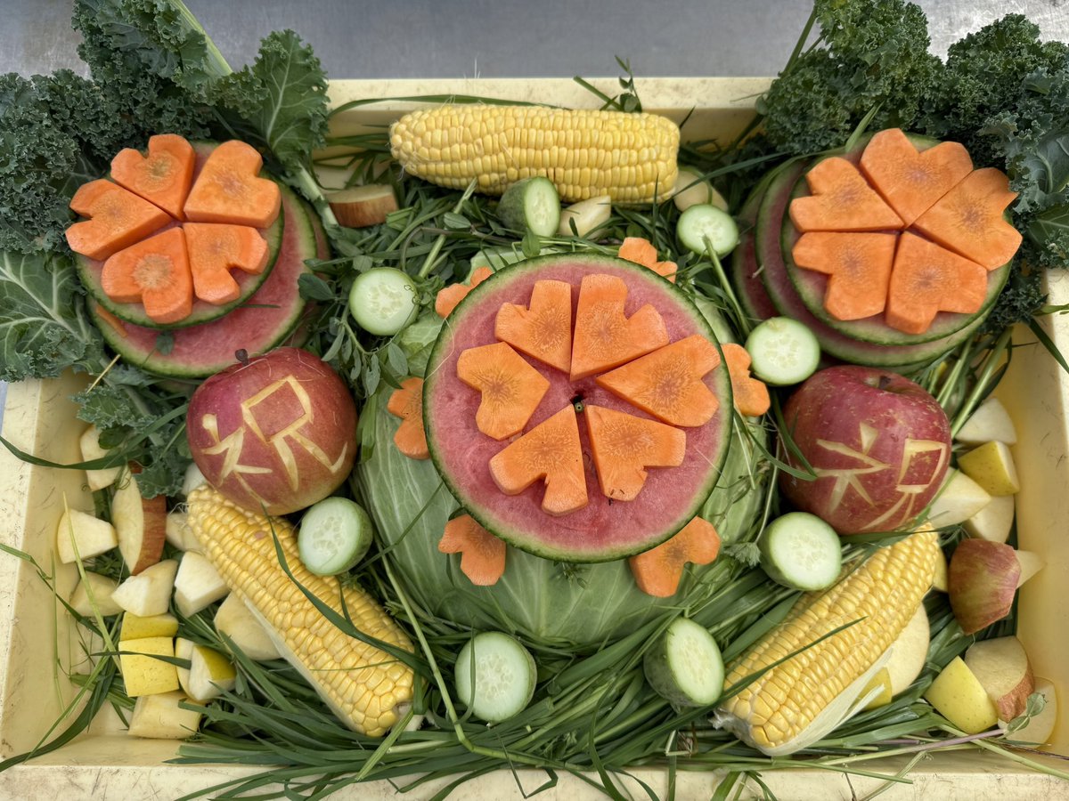 袖ケ浦ふれあいどうぶつ縁 tweet media