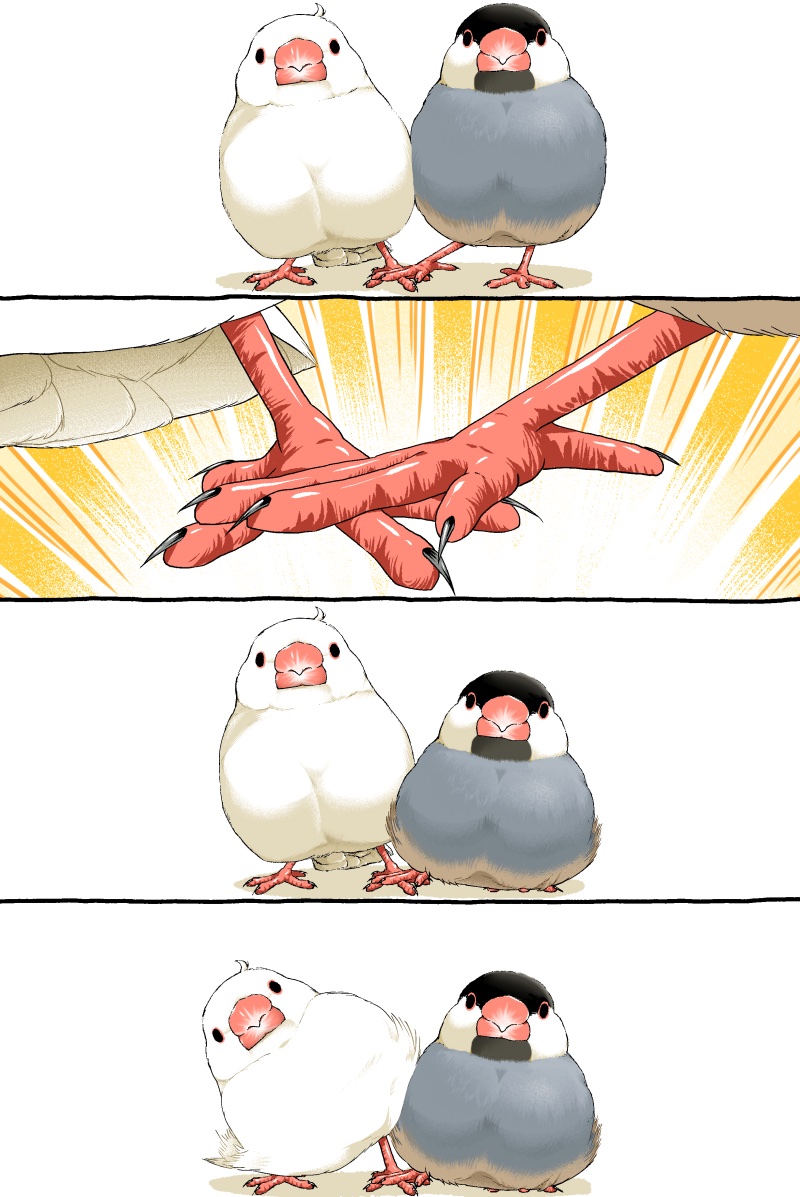 初丸うげべそ🕊『キジバトくん日記②』10/20発売 tweet media