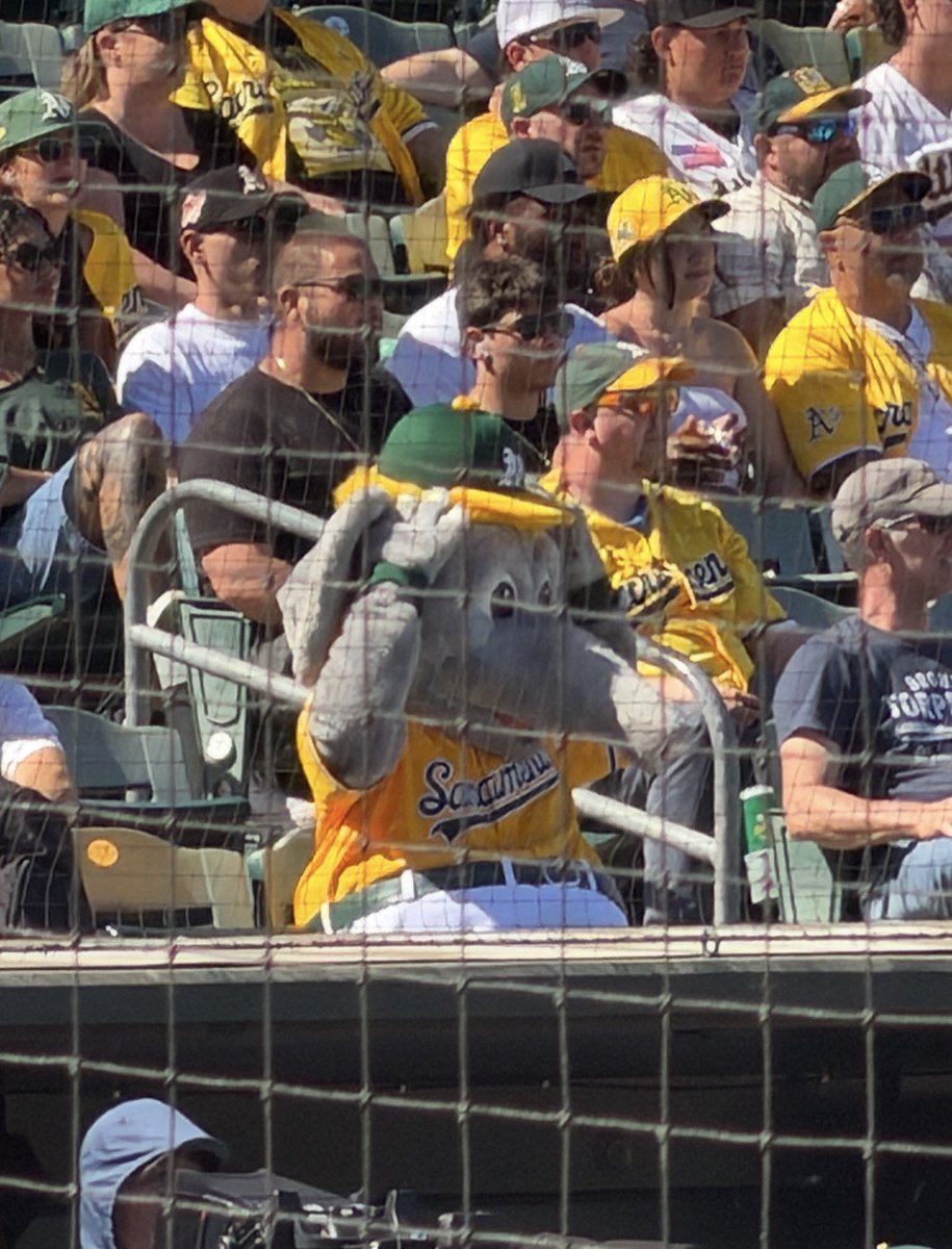 Hella NorCal Gal tweet media