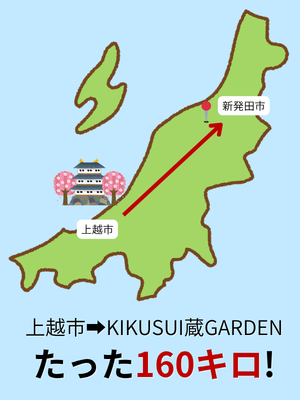 菊水酒造（公式） tweet media