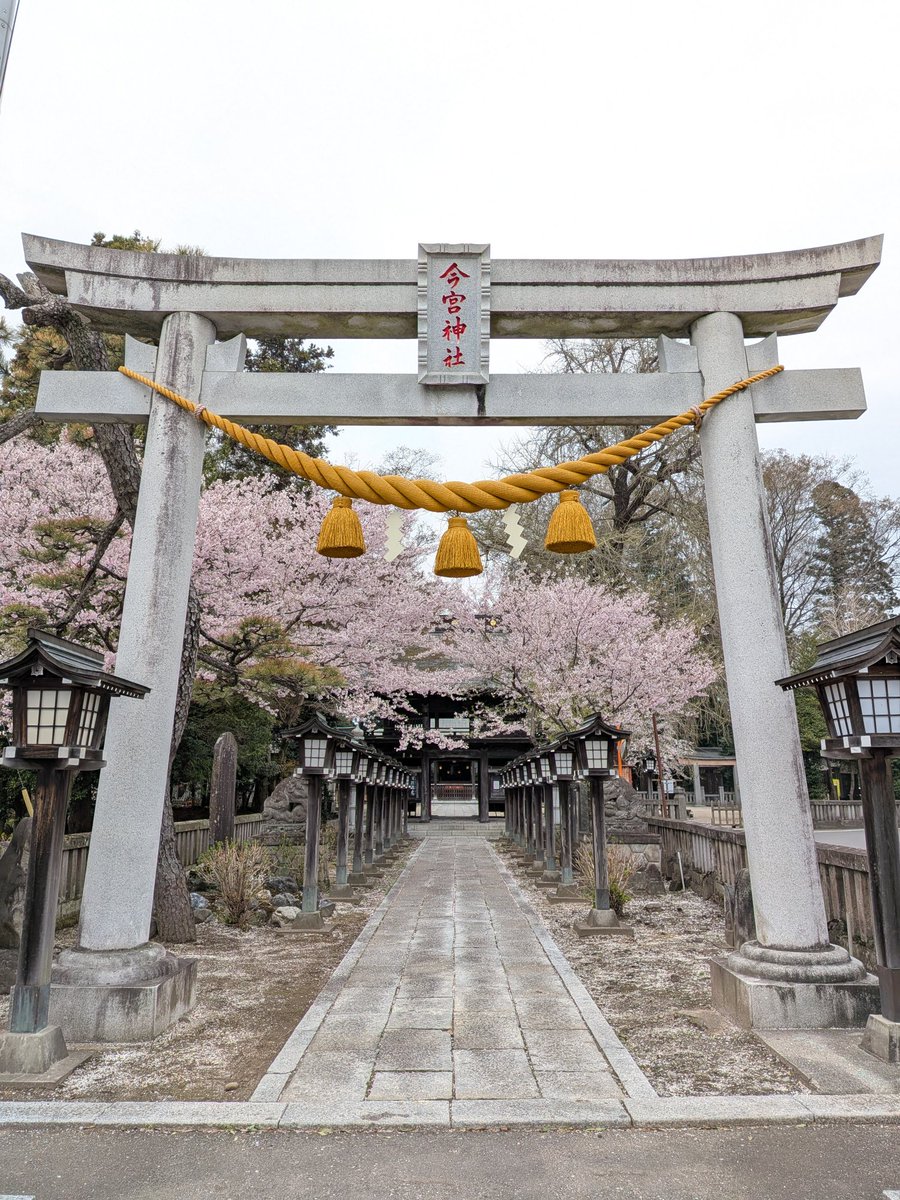 kotaki717's tweet photo. @nmaiyasan 今日、さくら市ゆうゆうパーク行ってきました！
昨日はさくら市今宮神社に行ってきました！
先週はさくら市お丸山公園に行ってきました！写真はその並びです。 https://t.co/R6XkghwITd
