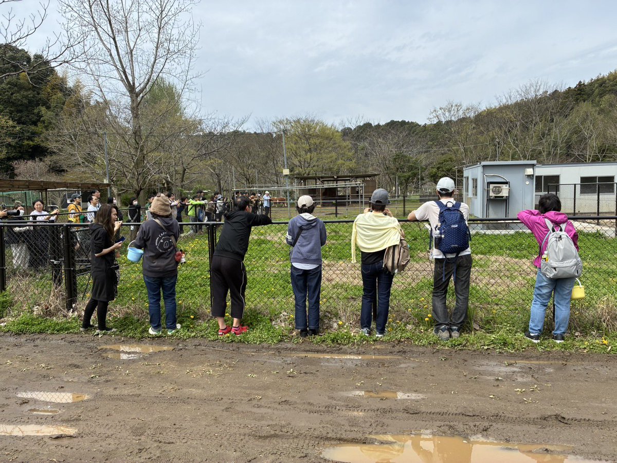袖ケ浦ふれあいどうぶつ縁 tweet media
