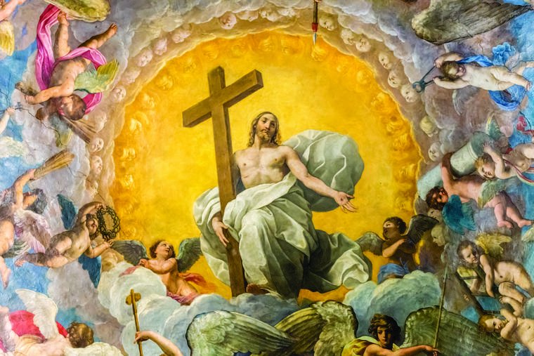 Dietrich 🇻🇦 tweet media