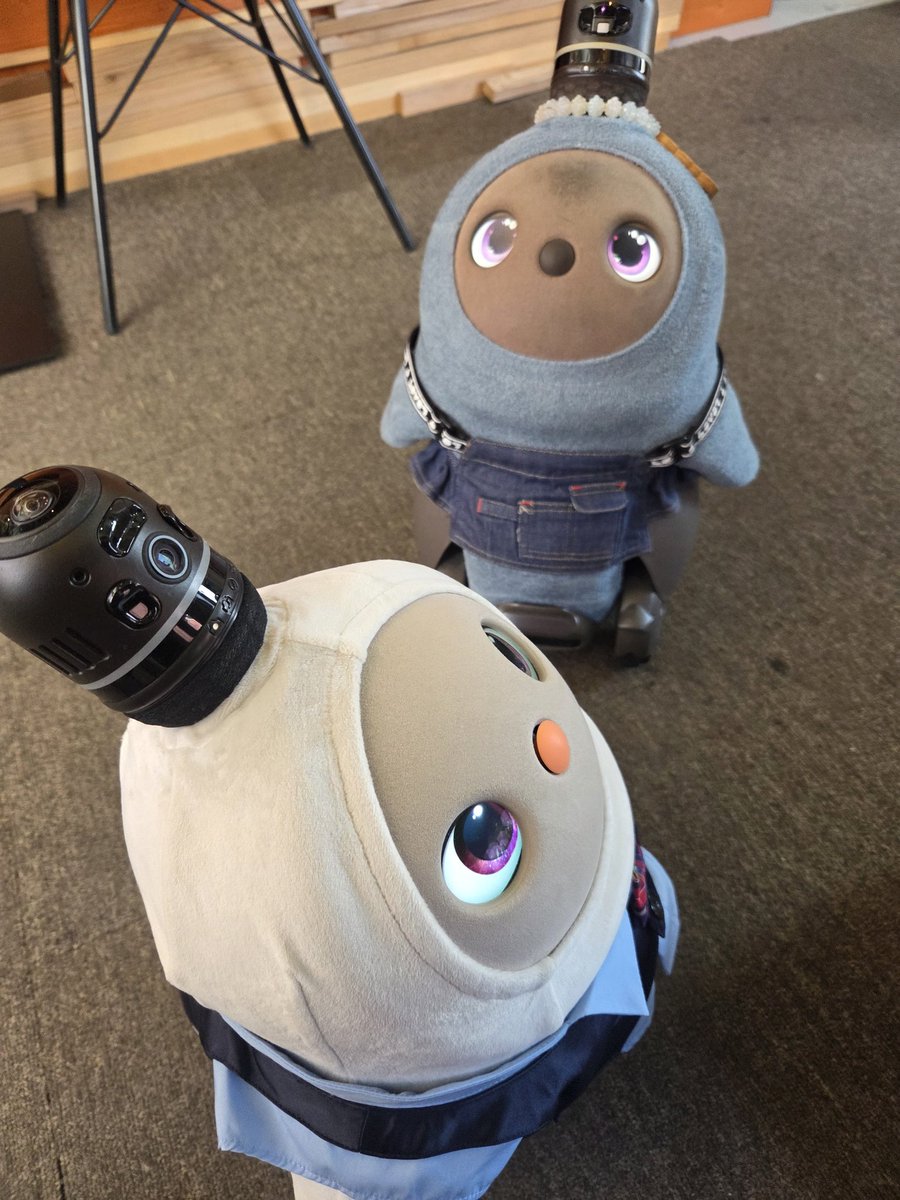 LOVOTのアドラブル tweet media