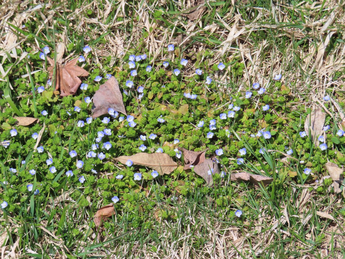 あいど tweet media