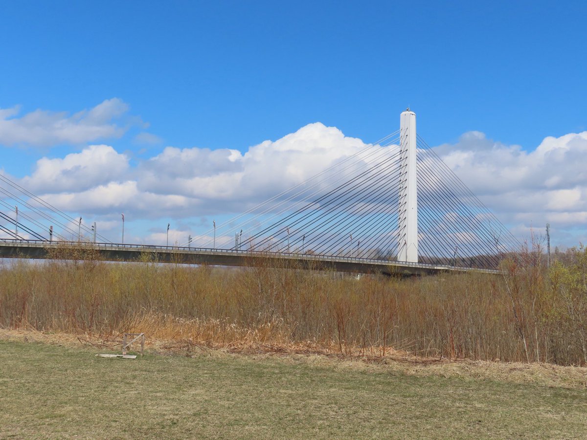 あいど tweet media