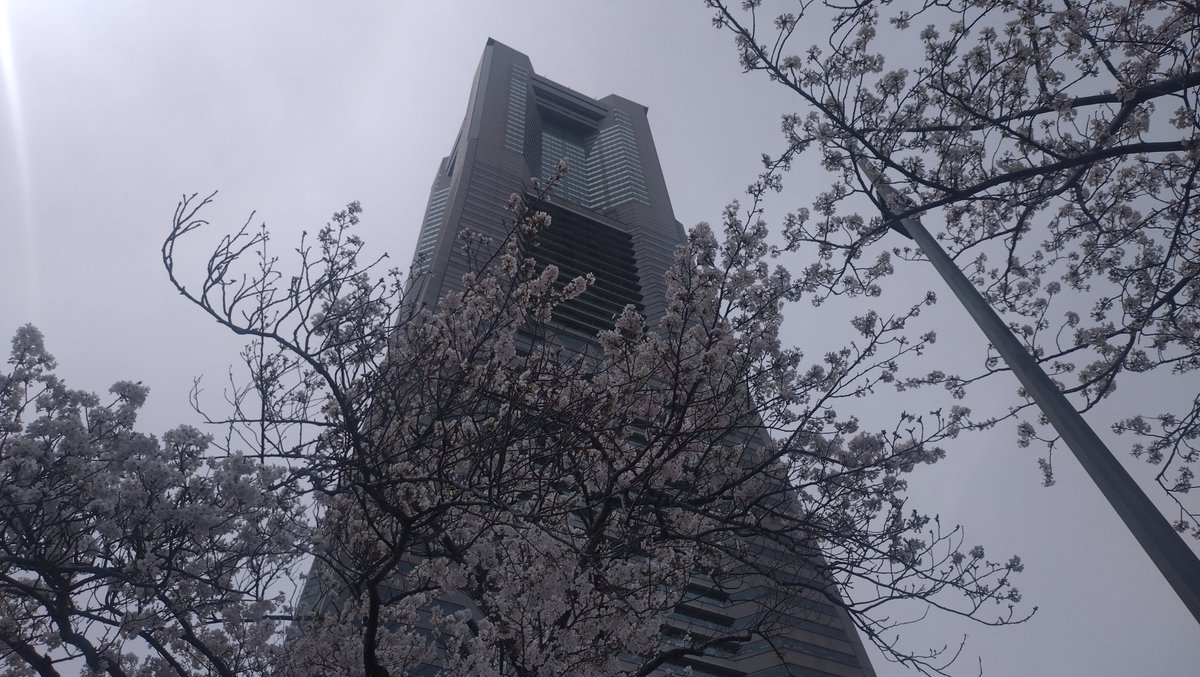 すこみ tweet media