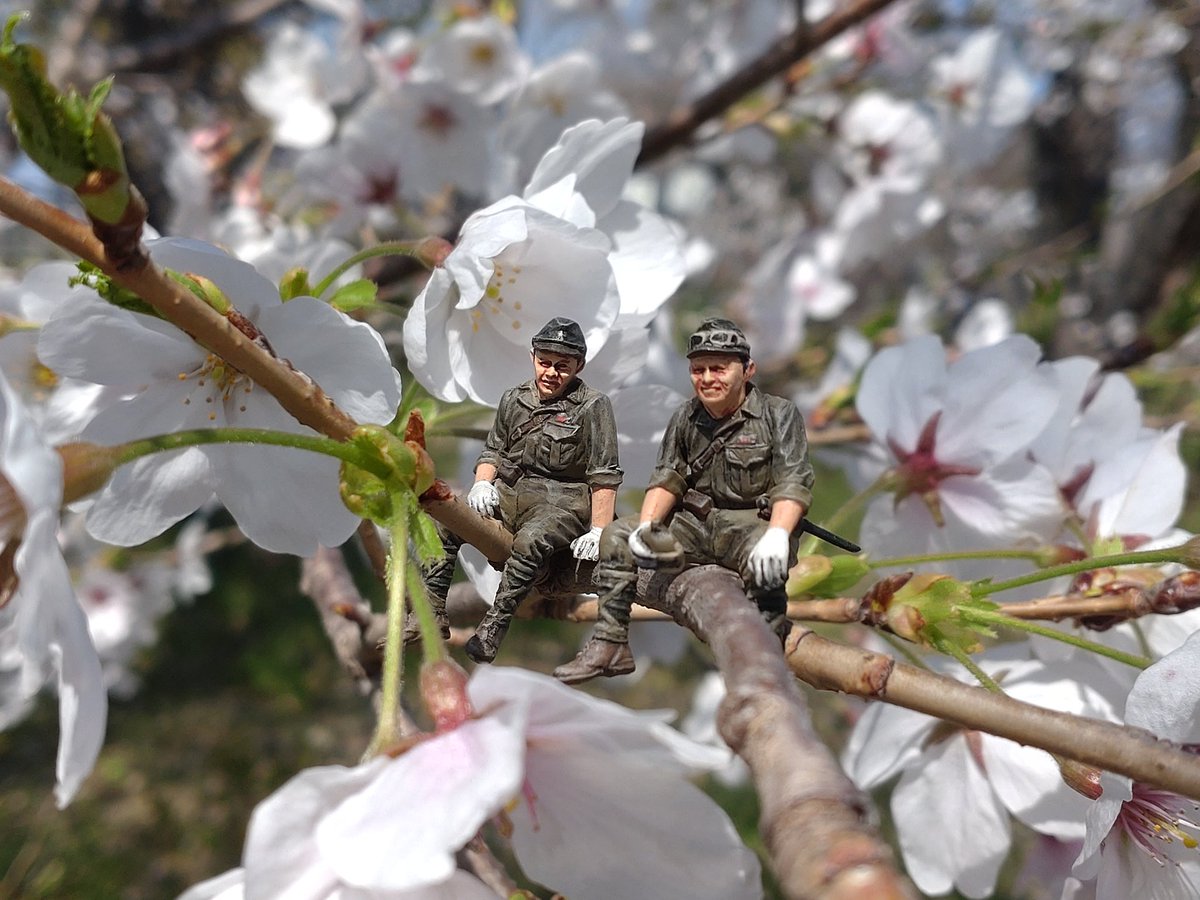 sasaki1194 tweet media