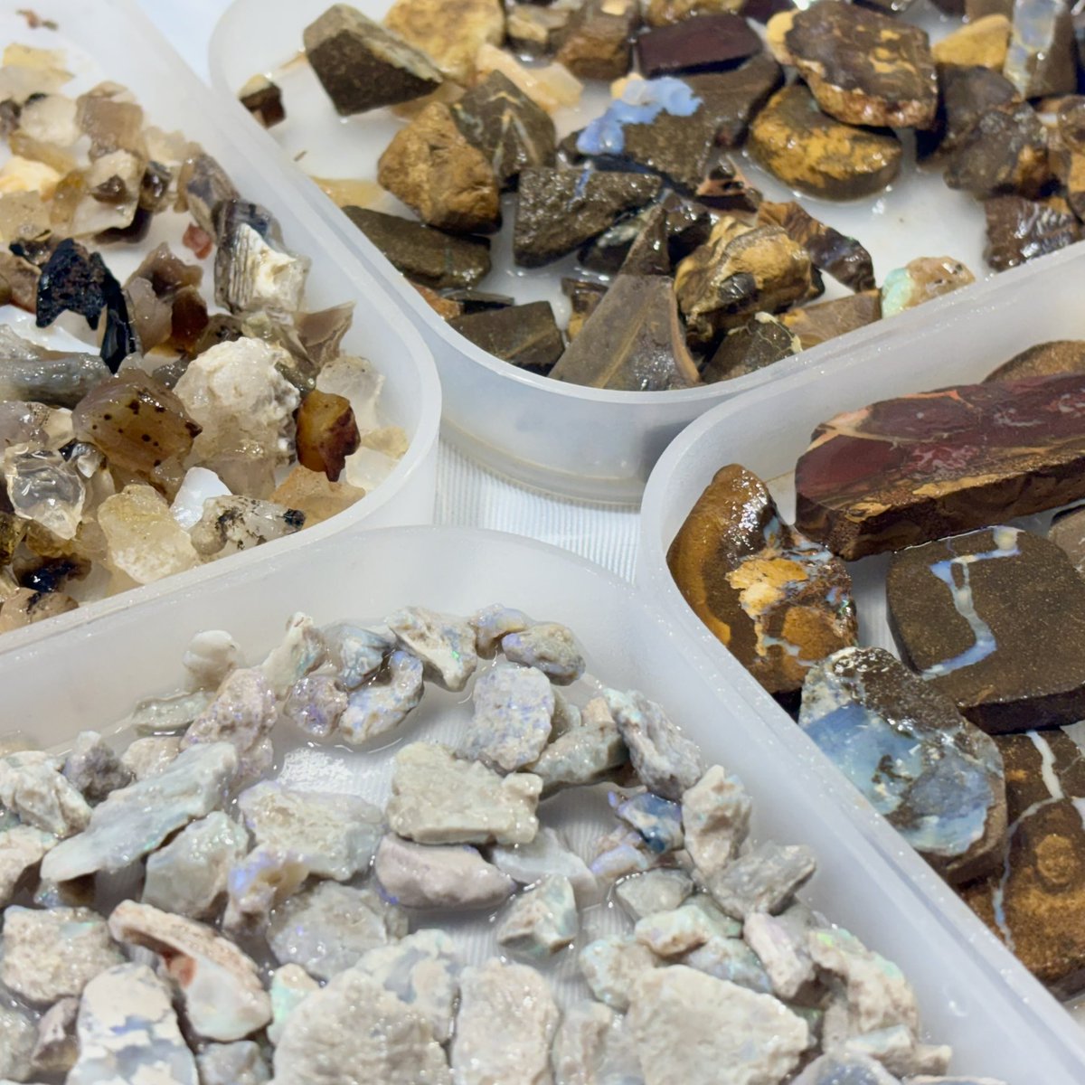 オパールマニア -Opal Mania- tweet media