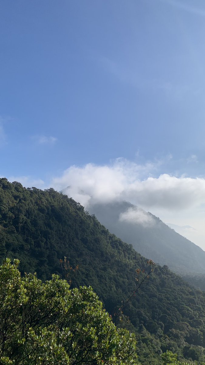 Bluuuuuuur tweet media