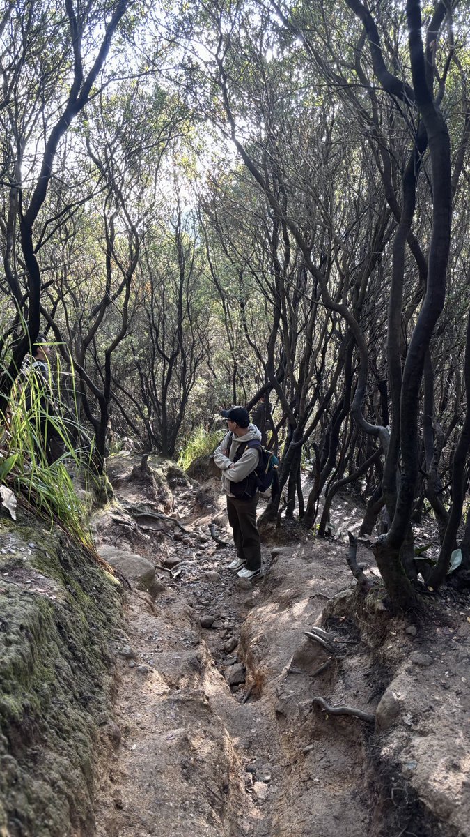 Bluuuuuuur tweet media