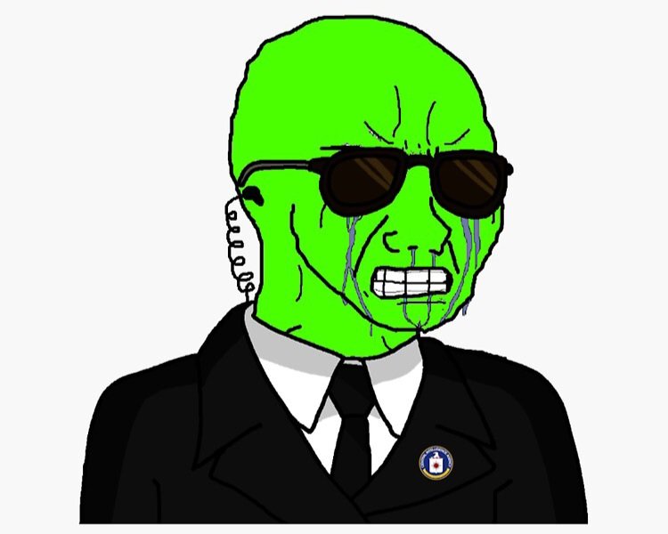 4mat.spinning cat tweet media