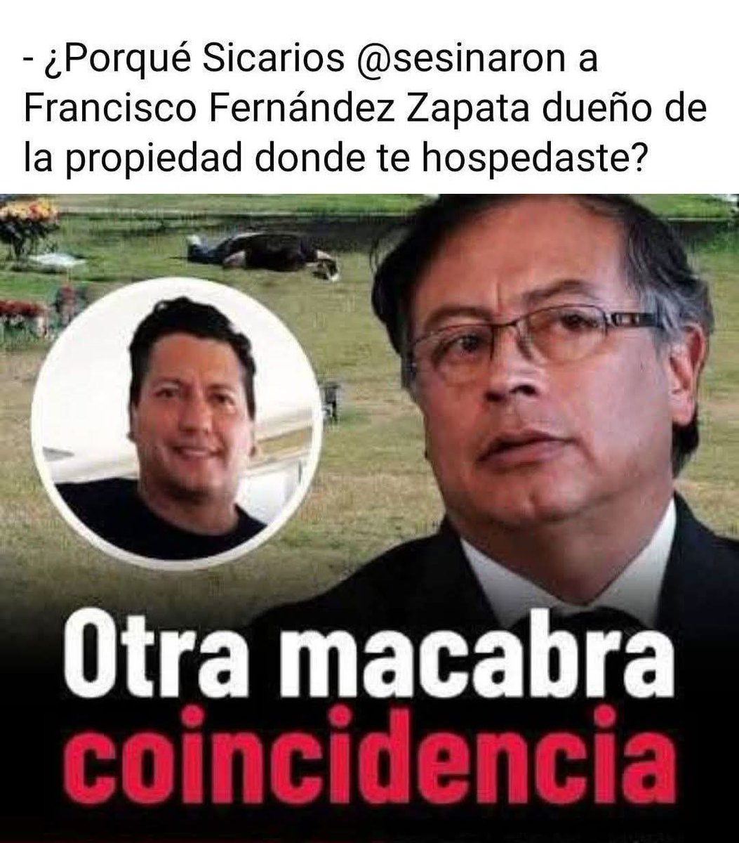 AntonellaCuradelli tweet media