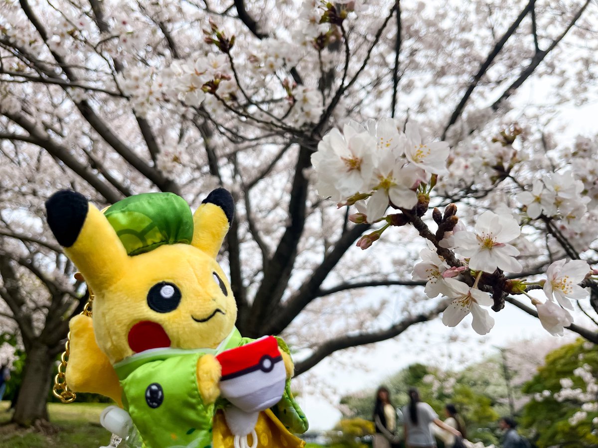 デイビッド tweet media