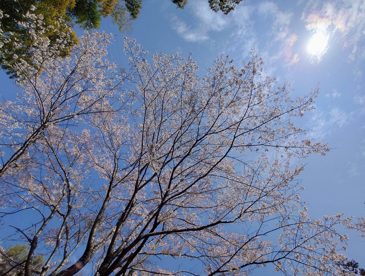 ashley-y❀ tweet media