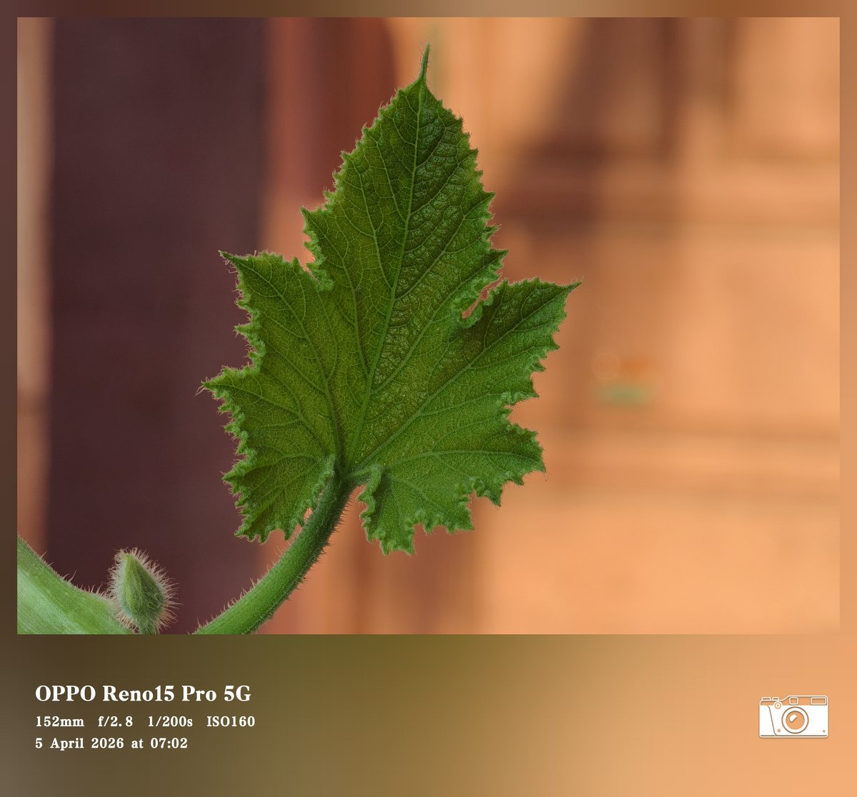 Siva Bharani Udaya Selvan tweet media