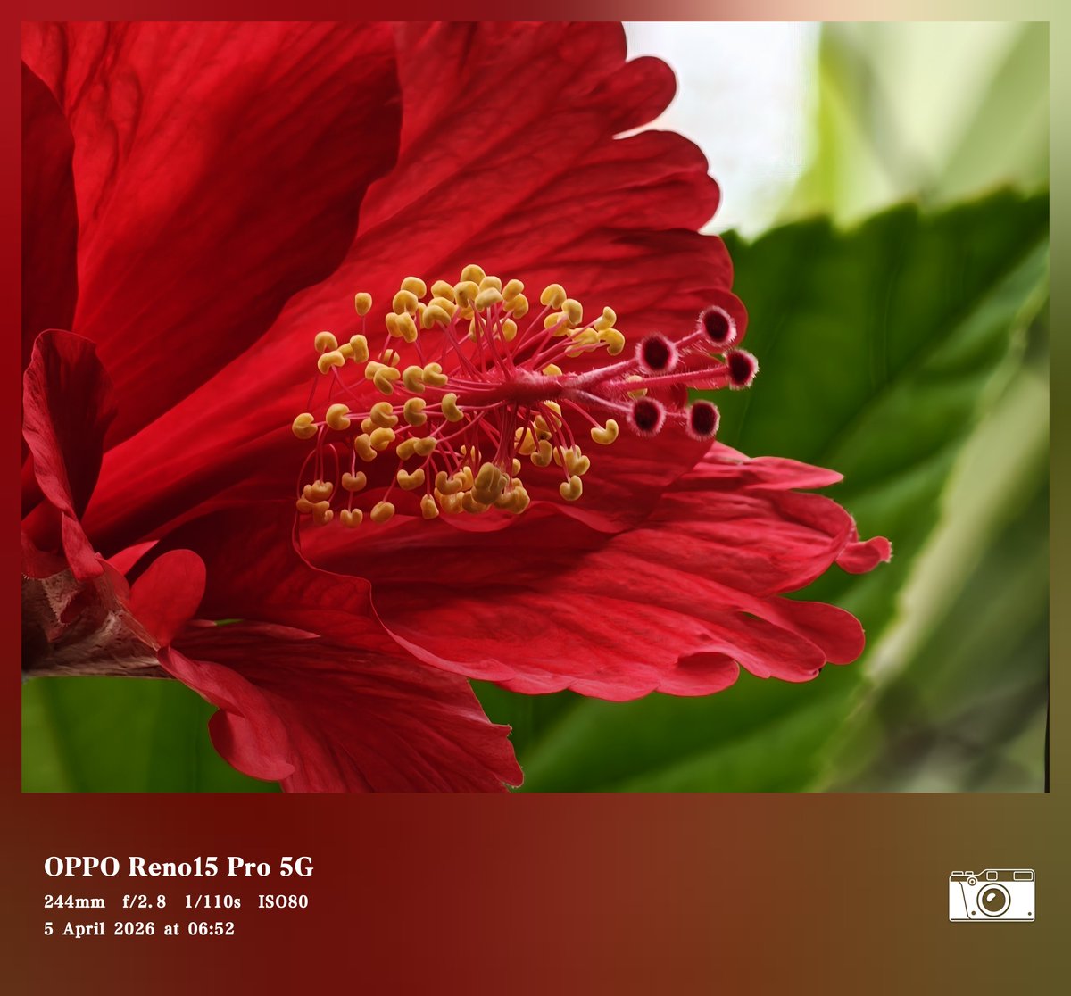 Siva Bharani Udaya Selvan tweet media