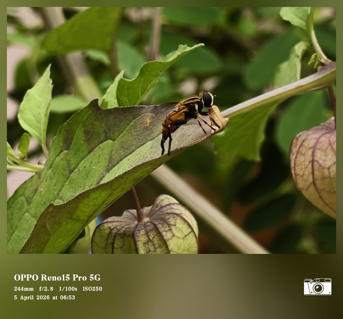 Siva Bharani Udaya Selvan tweet media