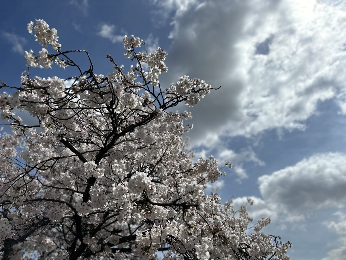 いわちん tweet media