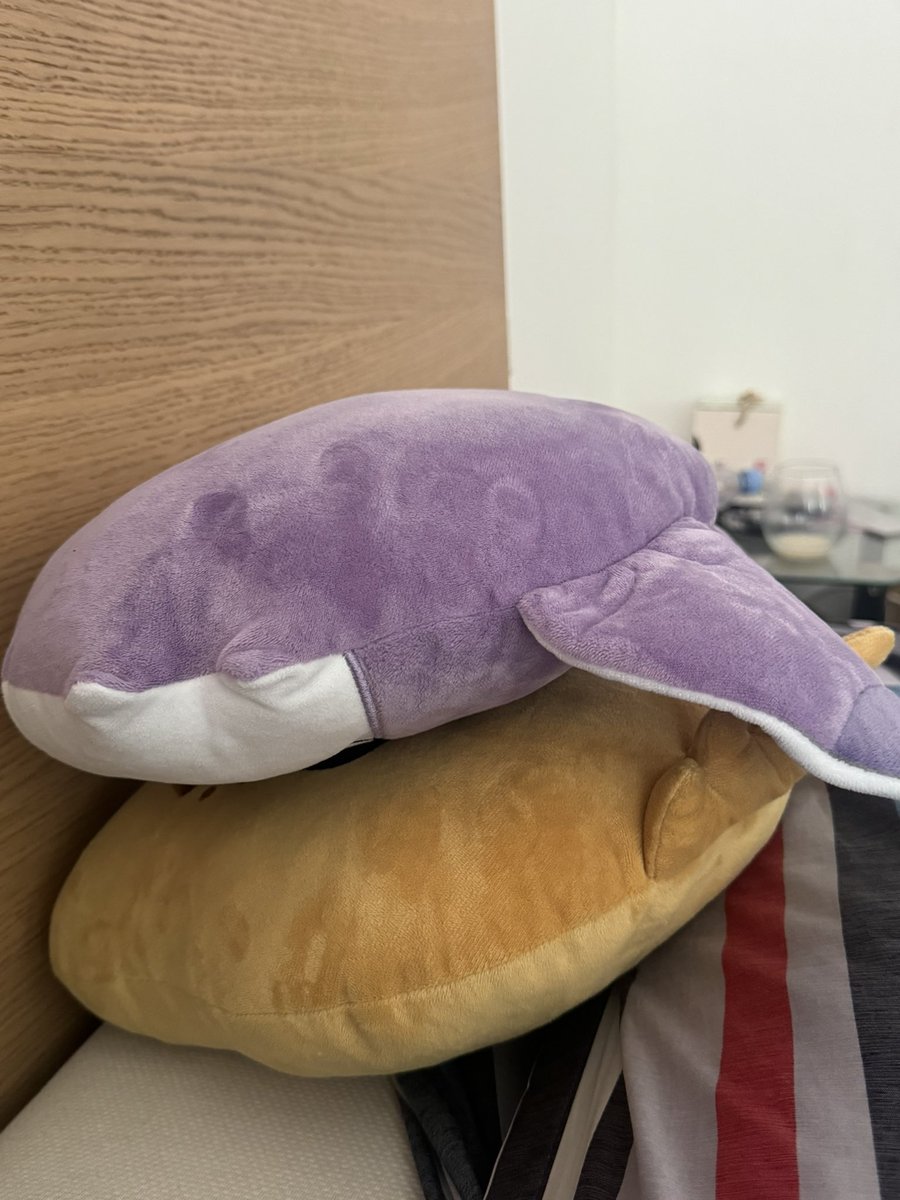 kloe • 클로이 tweet media