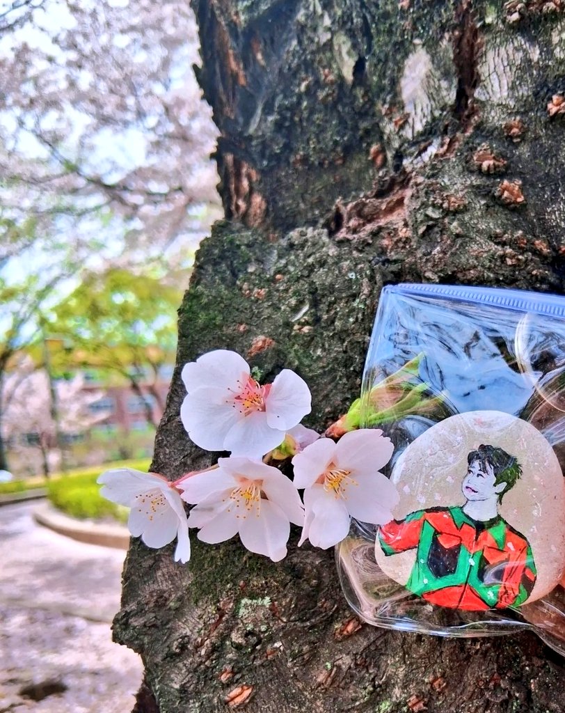 🅼🅰🆅🅸🅽 tweet media