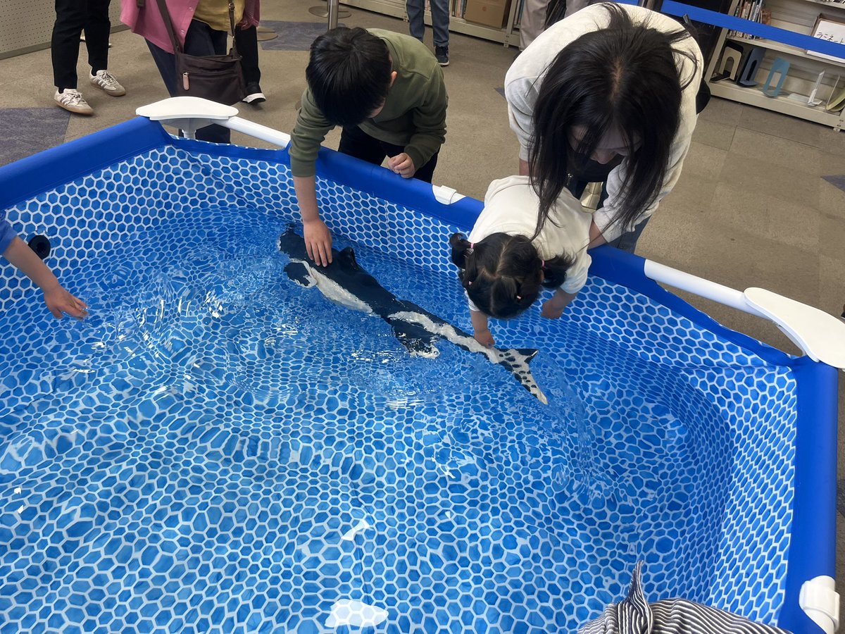 和歌山県立自然博物館 tweet media